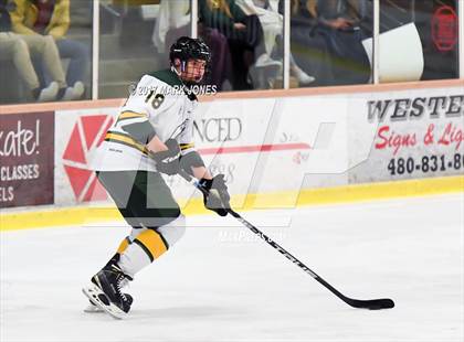 Thumbnail 3 in Mountain Ridge vs. Horizon (AHSHA D2 Playoff) photogallery.