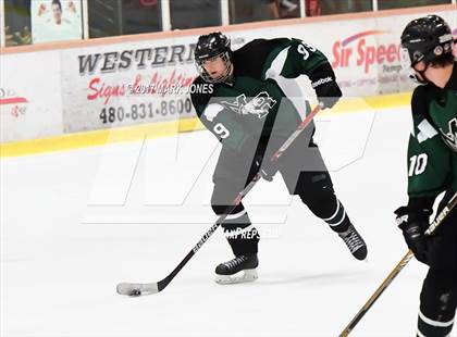 Thumbnail 3 in Mountain Ridge vs. Horizon (AHSHA D2 Playoff) photogallery.