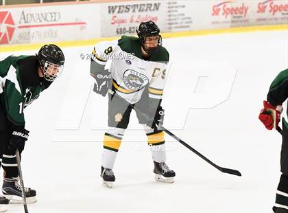 Thumbnail 3 in Mountain Ridge vs. Horizon (AHSHA D2 Playoff) photogallery.