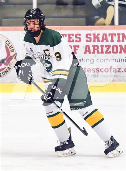 Thumbnail 2 in Mountain Ridge vs. Horizon (AHSHA D2 Playoff) photogallery.