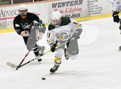 Thumbnail 2 in Mountain Ridge vs. Horizon (AHSHA D2 Playoff) photogallery.