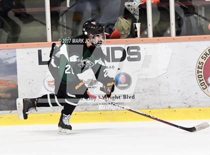 Thumbnail 3 in Mountain Ridge vs. Horizon (AHSHA D2 Playoff) photogallery.