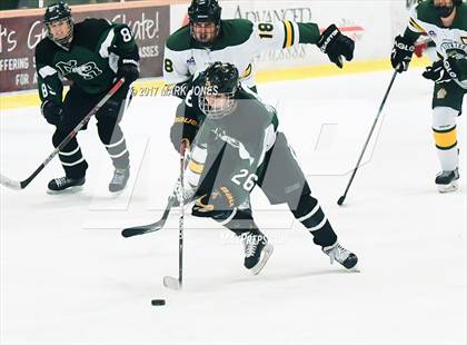 Thumbnail 3 in Mountain Ridge vs. Horizon (AHSHA D2 Playoff) photogallery.