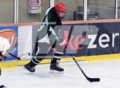 Thumbnail 1 in Mountain Ridge vs. Horizon (AHSHA D2 Playoff) photogallery.
