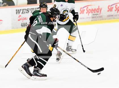 Thumbnail 3 in Mountain Ridge vs. Horizon (AHSHA D2 Playoff) photogallery.