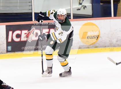 Thumbnail 1 in Mountain Ridge vs. Horizon (AHSHA D2 Playoff) photogallery.