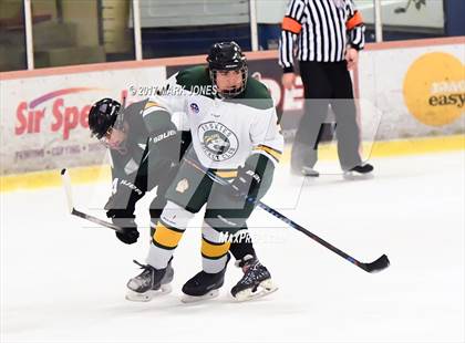 Thumbnail 1 in Mountain Ridge vs. Horizon (AHSHA D2 Playoff) photogallery.