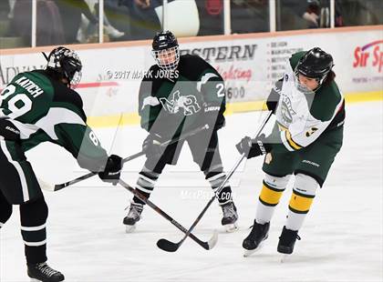 Thumbnail 2 in Mountain Ridge vs. Horizon (AHSHA D2 Playoff) photogallery.