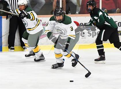 Thumbnail 2 in Mountain Ridge vs. Horizon (AHSHA D2 Playoff) photogallery.