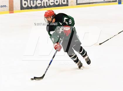 Thumbnail 1 in Mountain Ridge vs. Horizon (AHSHA D2 Playoff) photogallery.