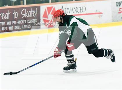 Thumbnail 3 in Mountain Ridge vs. Horizon (AHSHA D2 Playoff) photogallery.