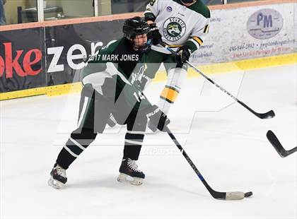 Thumbnail 3 in Mountain Ridge vs. Horizon (AHSHA D2 Playoff) photogallery.