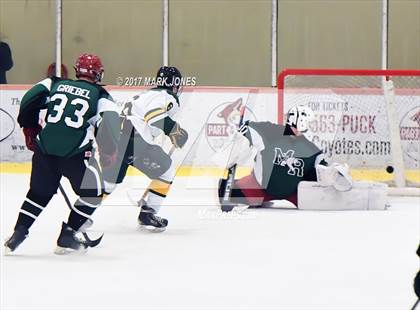 Thumbnail 1 in Mountain Ridge vs. Horizon (AHSHA D2 Playoff) photogallery.
