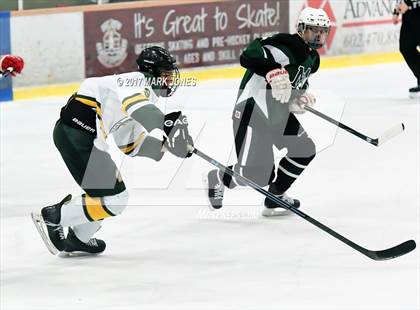 Thumbnail 3 in Mountain Ridge vs. Horizon (AHSHA D2 Playoff) photogallery.