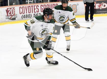 Thumbnail 3 in Mountain Ridge vs. Horizon (AHSHA D2 Playoff) photogallery.