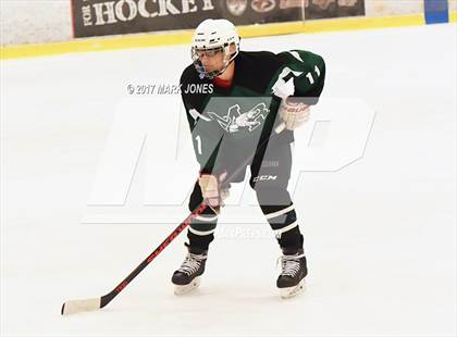 Thumbnail 1 in Mountain Ridge vs. Horizon (AHSHA D2 Playoff) photogallery.