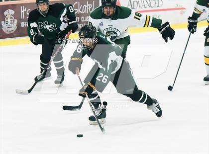 Thumbnail 1 in Mountain Ridge vs. Horizon (AHSHA D2 Playoff) photogallery.