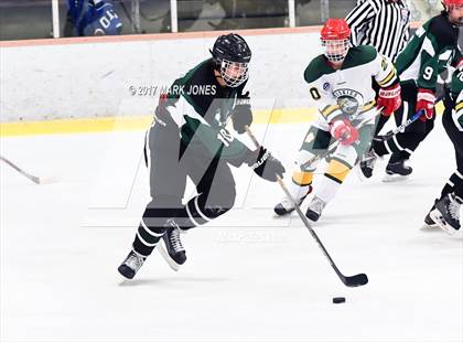 Thumbnail 1 in Mountain Ridge vs. Horizon (AHSHA D2 Playoff) photogallery.