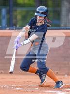Photo from the gallery "Westminster @ Kell"