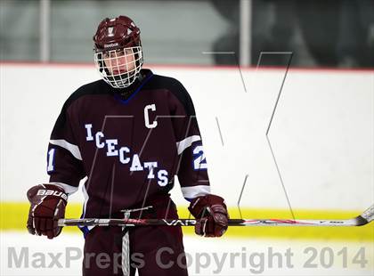 Thumbnail 3 in Brookfield/Bethel/Danbury @ North Haven photogallery.