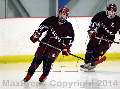 Thumbnail 3 in Brookfield/Bethel/Danbury @ North Haven photogallery.