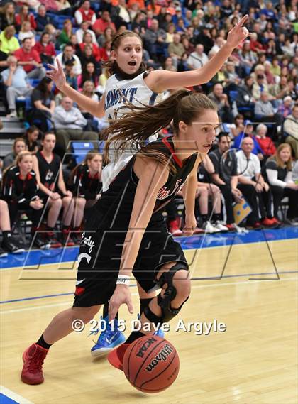 Thumbnail 1 in Fremont vs. American Fork (UHSAA Semifinal) photogallery.