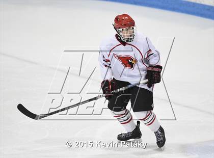 Thumbnail 1 in Darien vs. Greenwich (CIAC D1 Final) photogallery.