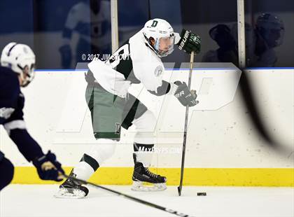 Thumbnail 1 in Deerfield @ Hotchkiss photogallery.