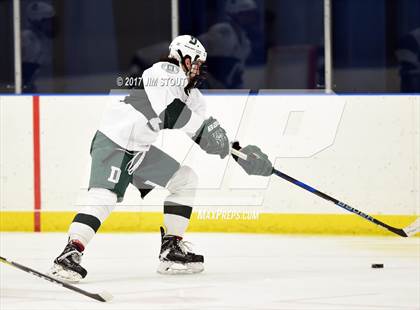 Thumbnail 3 in Deerfield @ Hotchkiss photogallery.
