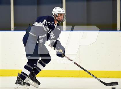 Thumbnail 3 in Deerfield @ Hotchkiss photogallery.