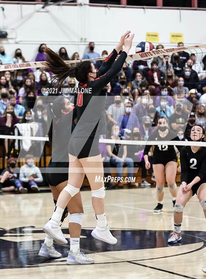 Thumbnail 3 in Amador Valley @ Monte Vista (CIFNCS D1 Championship) photogallery.