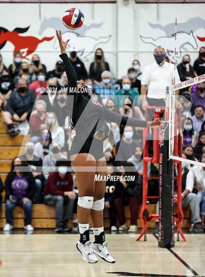Thumbnail 3 in Amador Valley @ Monte Vista (CIFNCS D1 Championship) photogallery.