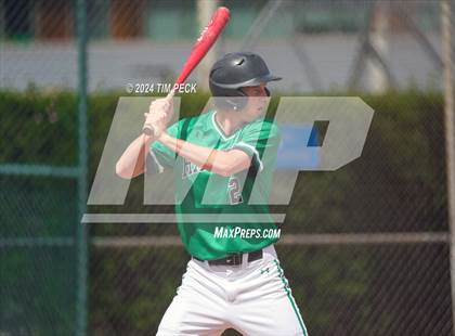 Thumbnail 2 in Victor Valley vs. Spanish Springs (Anaheim Lions Tournament) photogallery.