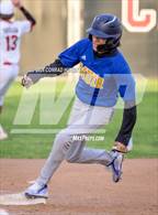 Photo from the gallery "Muir @ Burroughs"