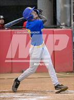 Photo from the gallery "Muir @ Burroughs"