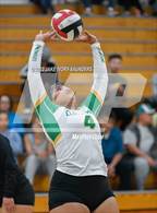 Photo from the gallery "Fife @ Clover Park"