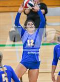 Photo from the gallery "Fife @ Clover Park"