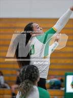 Photo from the gallery "Fife @ Clover Park"