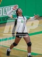 Photo from the gallery "Fife @ Clover Park"