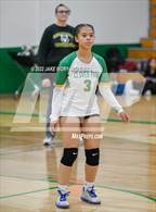 Photo from the gallery "Fife @ Clover Park"