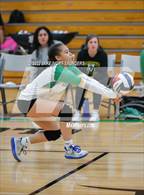 Photo from the gallery "Fife @ Clover Park"