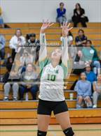 Photo from the gallery "Fife @ Clover Park"