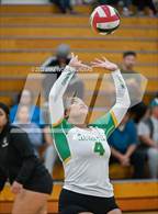 Photo from the gallery "Fife @ Clover Park"