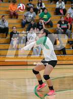 Photo from the gallery "Fife @ Clover Park"