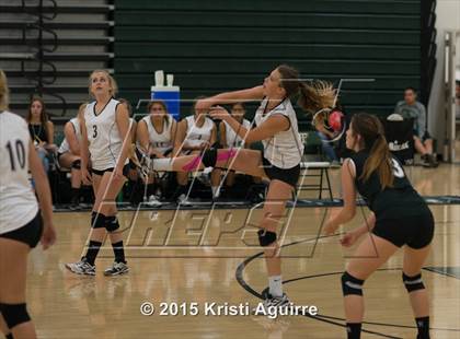 Thumbnail 2 in Paloma Valley @ Tahquitz photogallery.
