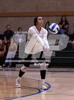 Photo from the gallery "St. Vincent de Paul @ San Domenico"
