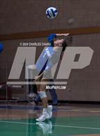 Photo from the gallery "St. Vincent de Paul @ San Domenico"