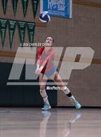 Photo from the gallery "St. Vincent de Paul @ San Domenico"