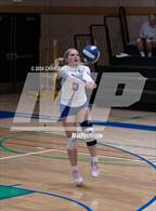 Photo from the gallery "St. Vincent de Paul @ San Domenico"