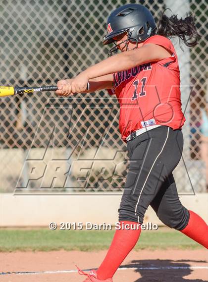 Thumbnail 1 in Maricopa @ Marcos de Niza photogallery.